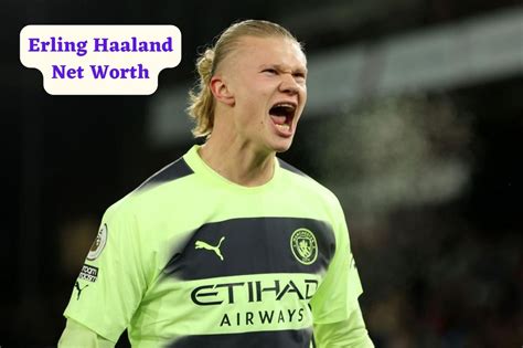 erling haaland net worth.